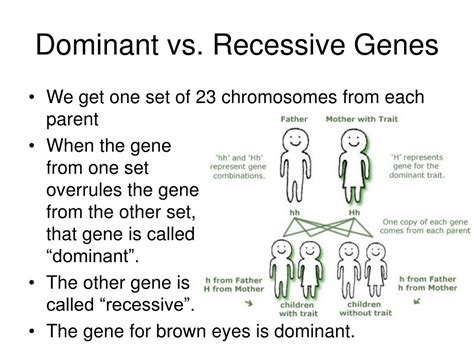 wat is dominantie|Dominant